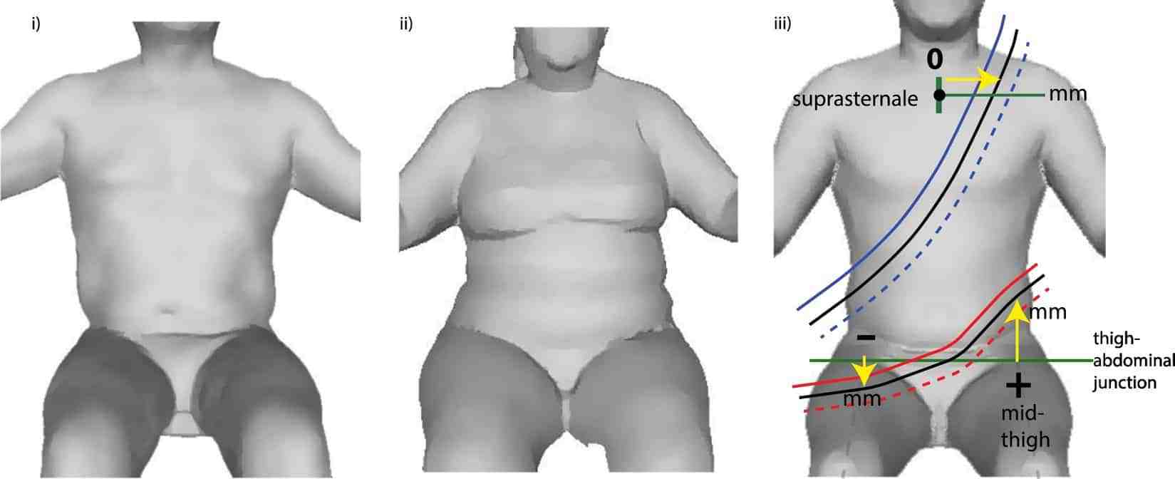 Proper belt fit graphic