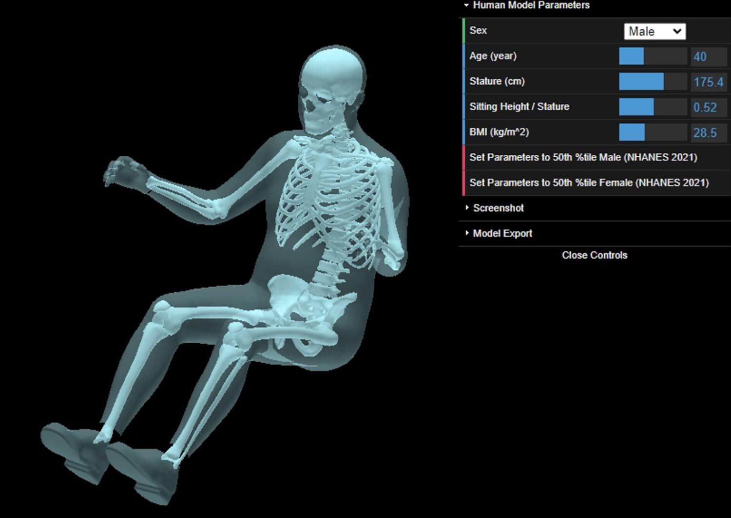 Human model